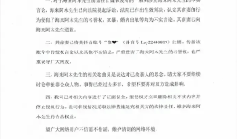 经纪公司否认海来阿木孕期出轨家暴 称其前妻已经正式道歉